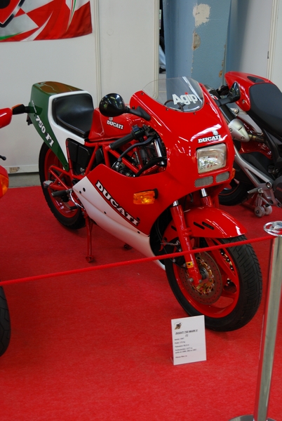 Puce_Niort_2009_013 [800x600].jpg